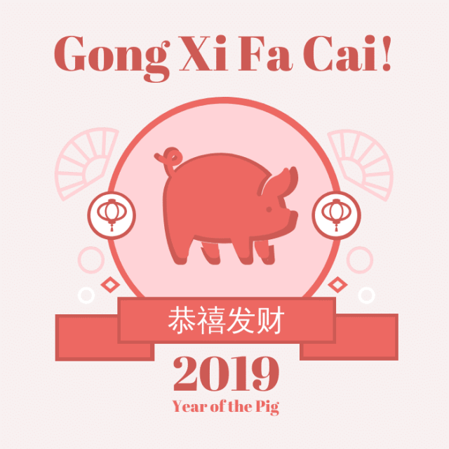 2019 is the year of the pig